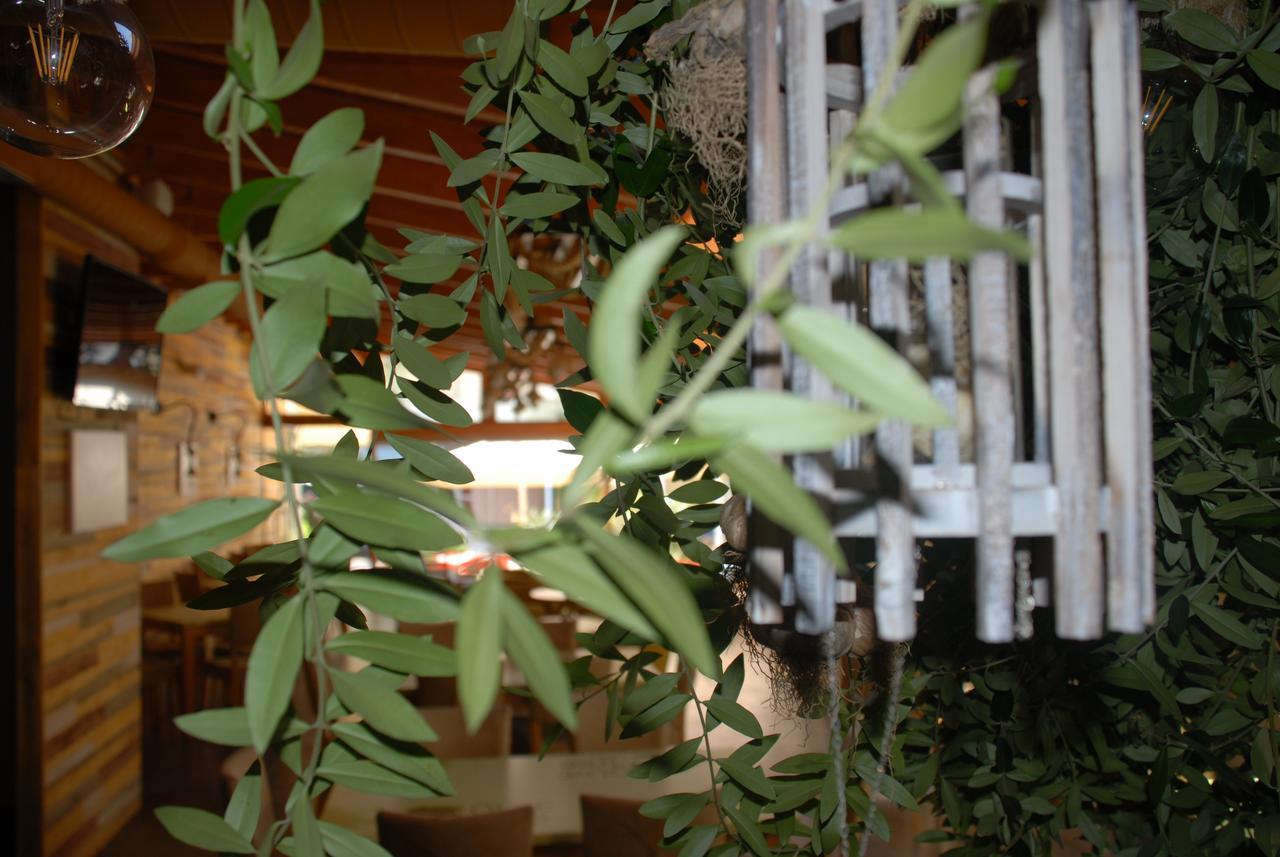 Olive Tree 4*