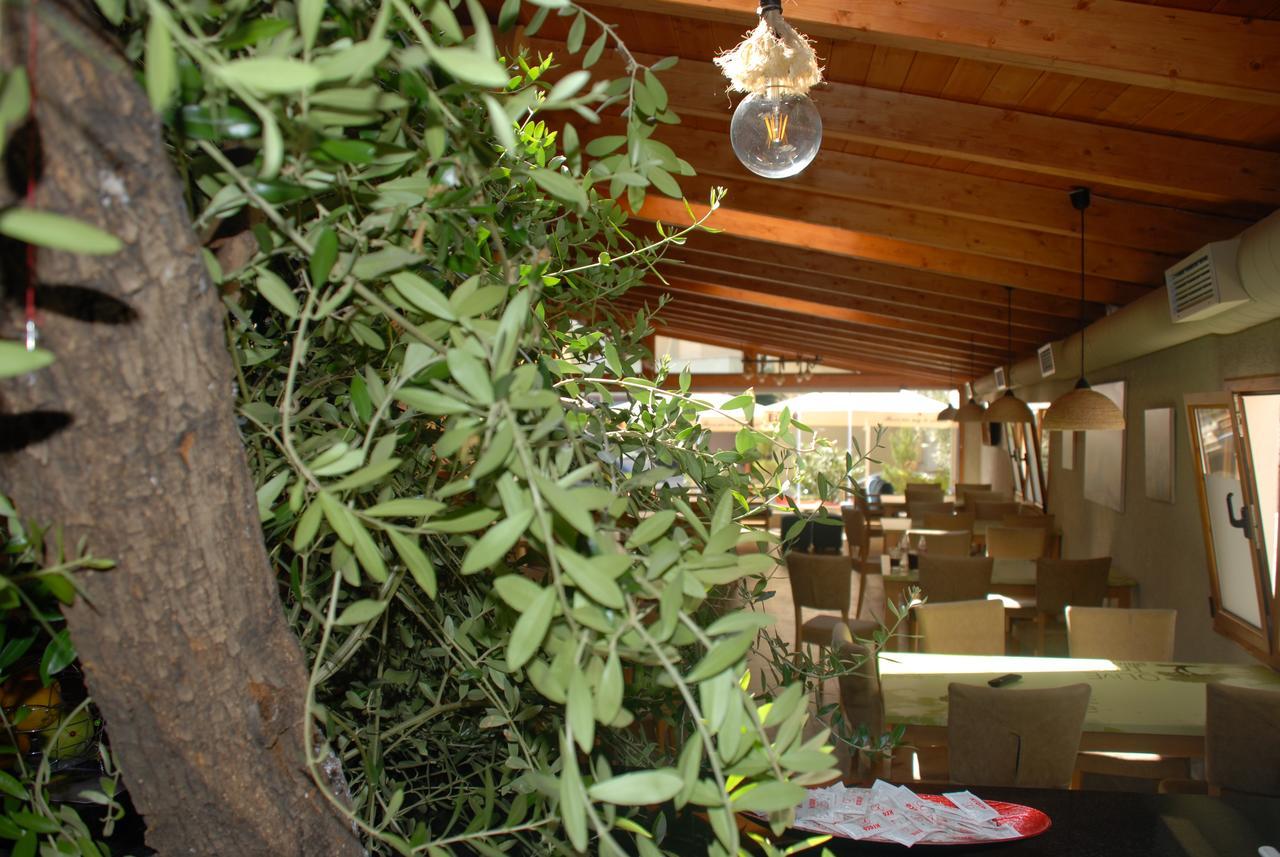Guest house Olive Tree Sarande