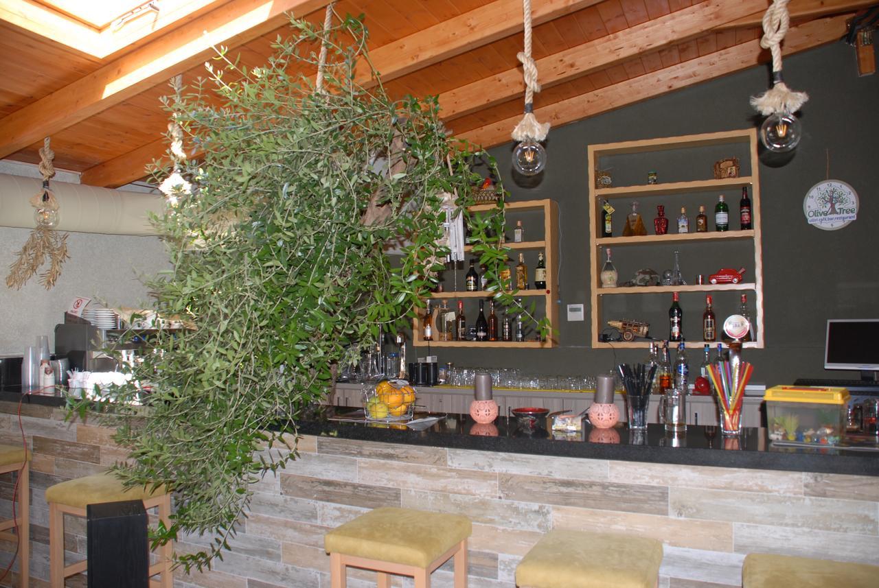 Olive Tree Guest house 4*